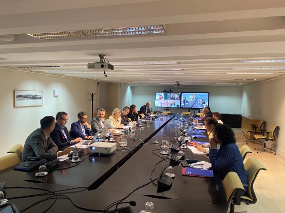 la delegada en la primera sesión del Consejo Rector de la Agencia para el Empleo 