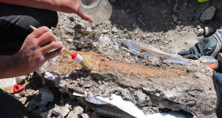 Imágenes del proceso de excavación en el polígono La Atayuela