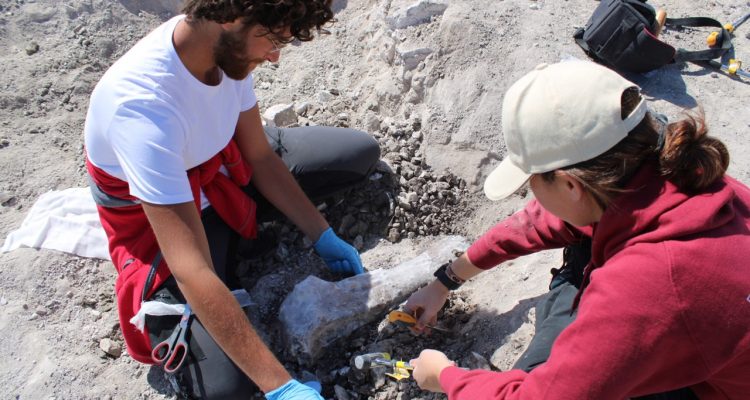 Imágenes del proceso de excavación en el polígono La Atayuela