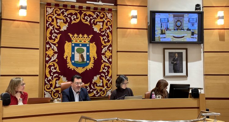 El concejal de Villa de Vallecas se dirige al plenario