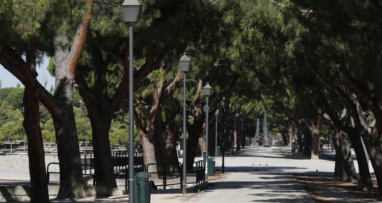 Parque de Pradolongo