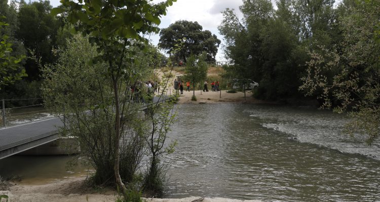 El Río Manzanares, a su paso por Mingorrubio, donde se ha producido la suelta de peces