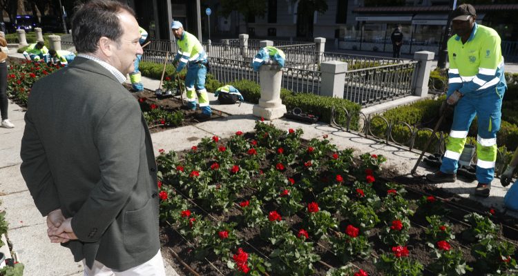 Carabante supervisa la plantación de flores en la plaza de Oriente