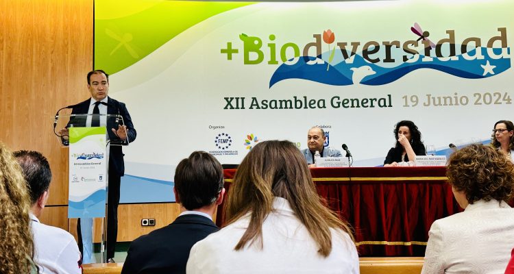 El delegado de Urbanismo, Medio Ambiente y Movilidad, Borja Carabante, durante la entrega de premios
