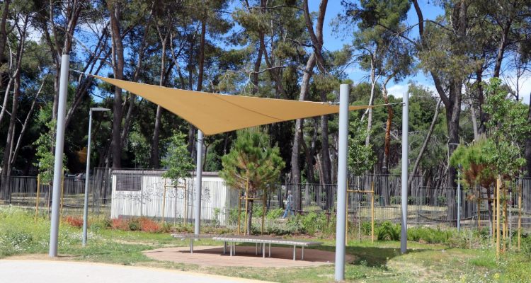 Patios Escolares Como Lugares De Aprendizaje Ambiental