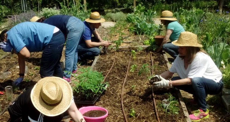 Taller en el CIEA El Huerto del Retiro