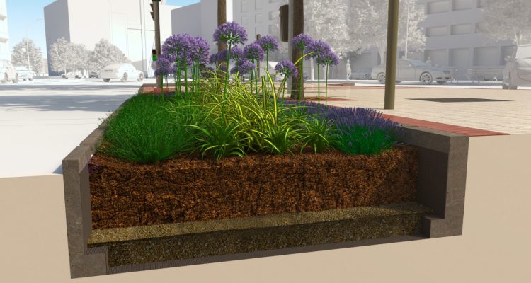 Recreación de zona ajardinada del proyecto piloto de drenaje sostenible de Madrid Nuevo Norte