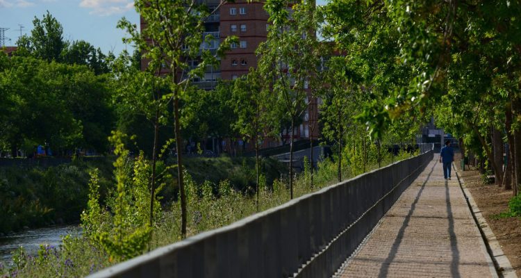 Pasarela fluvial junto al Manzanares