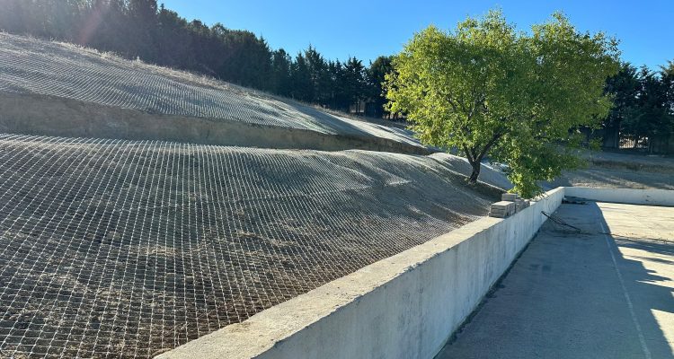 Trabajos de restauración ambiental en el entorno del patio del CEIP Ciudad de Valencia de Villa de Vallecas