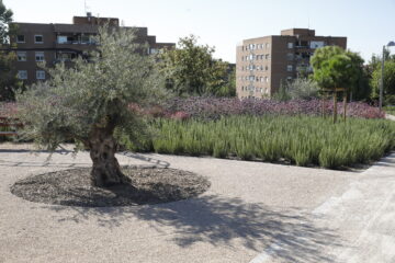 Espacio renaturalizado en el entorno del Castillo de la Alameda