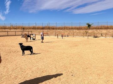 Nueva zona canina en Cuatro Vientos