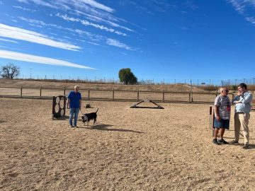 Páramo visita la nueva zona canina en Cuatro Vientos