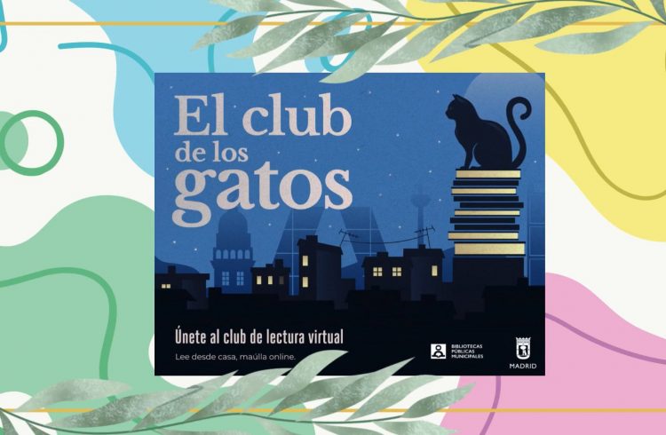 El club de los gatos. XIII edición