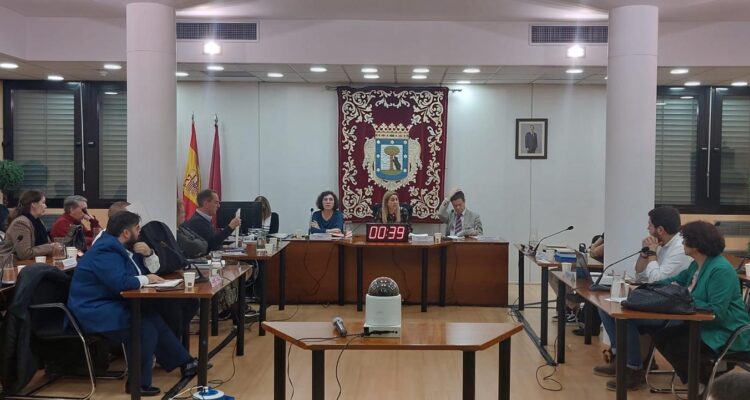 Celebración del Pleno de Ciudad Lineal