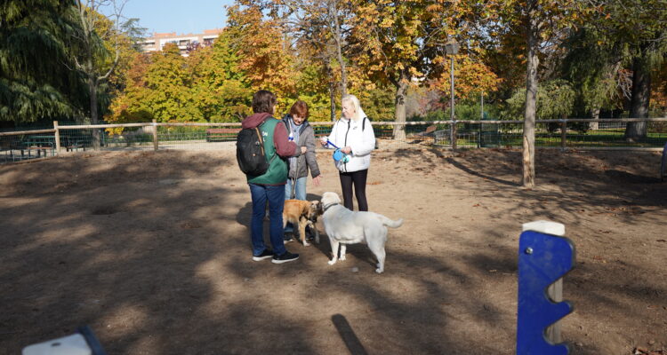 Área canina Parque de Berlín