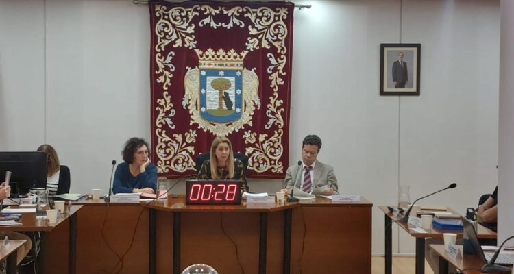 Nadia Álvarez durante la celebración del Pleno de presupuestos del distrito