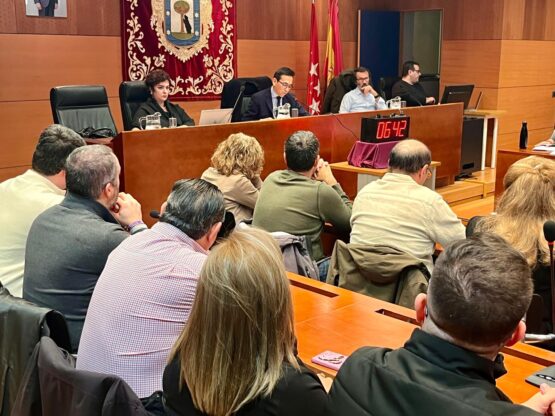 Sesión plenaria celebrada este miércoles en la Junta Municipal de Villaverde