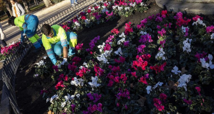 Propuestas paisajísticas efímeras del paseo de México del Retiro