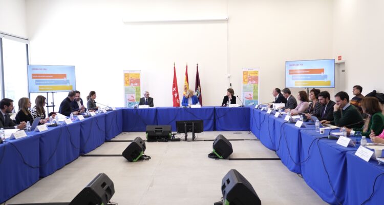 XIII sesión de la Comisión Permanente del Plan de desarrollo del sur y del este de Madrid (SURES), presidida por la vicealcaldesa, Inma Sanz