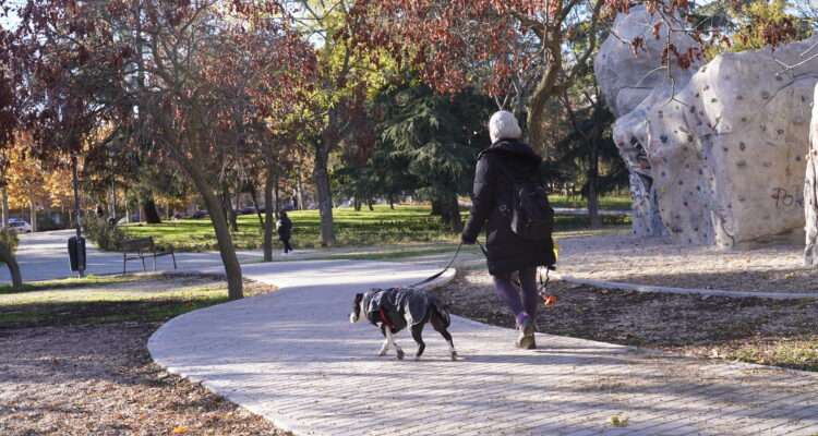 El Parque Paraíso tras su reciente rehabilitación.