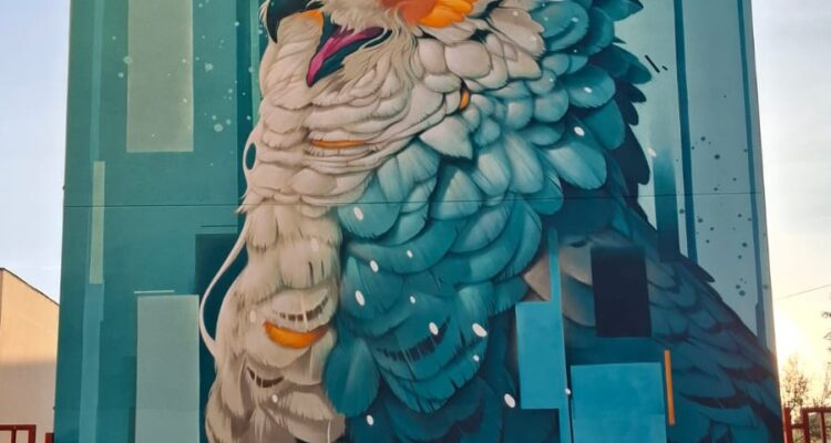 Night owl (búho nocturno) de