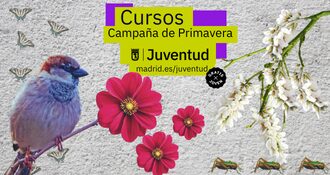 Cursos de capacitación para jóvenes