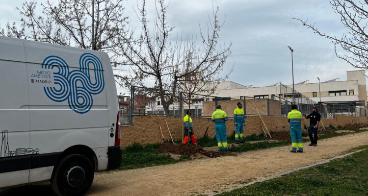 Personal de Madrid 360 ayudando en las tareas de plantación