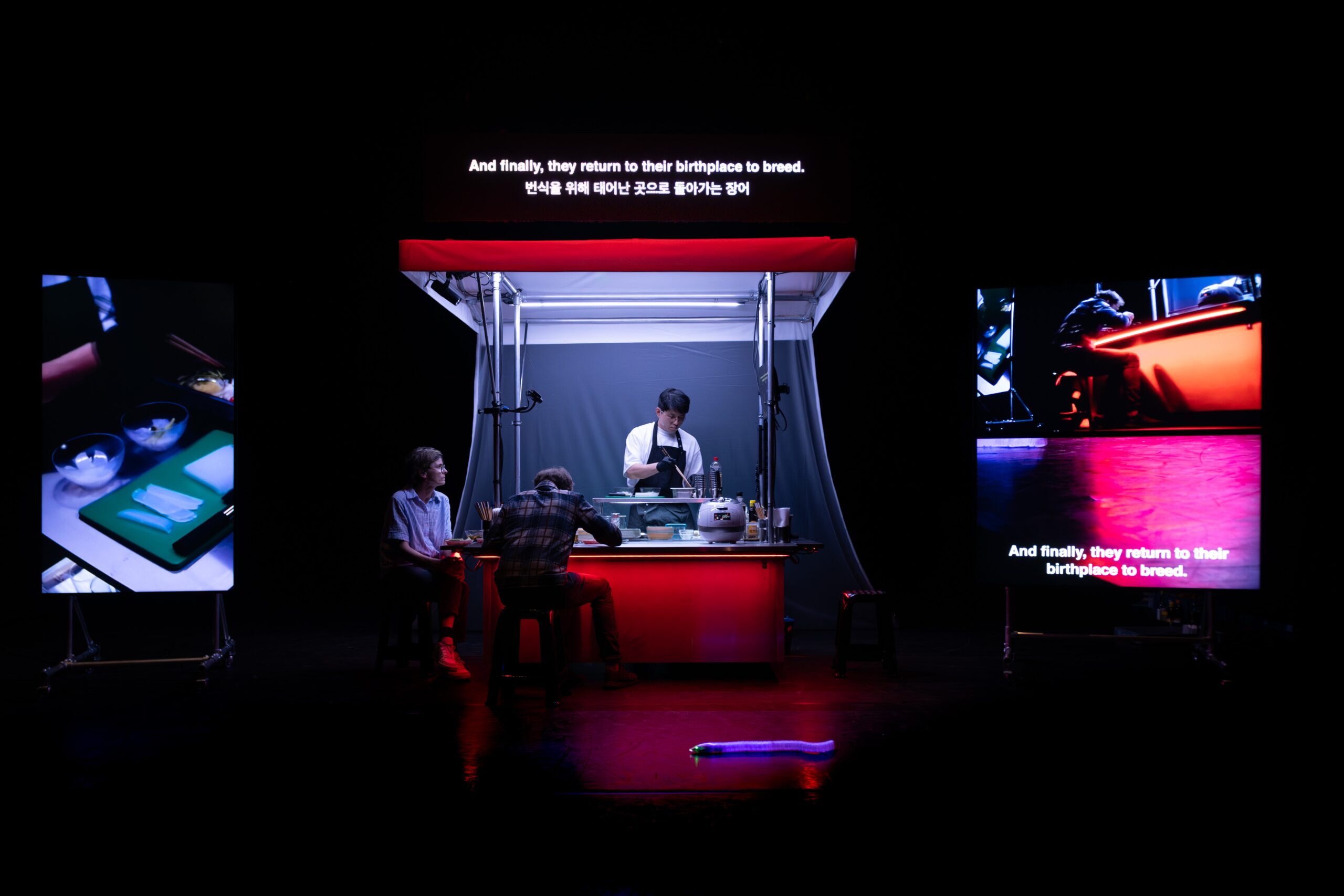 'Haribo Kimchi' de Jaha Koo