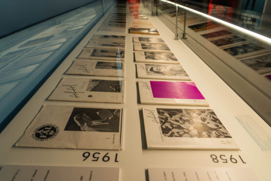 Sección de la exposición 