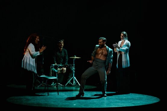 Espectáculo Lo preciso a cargo del bailaor Rafael Ramírez