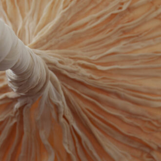 Detalle de la intervención de la artista Eva Fàbregas