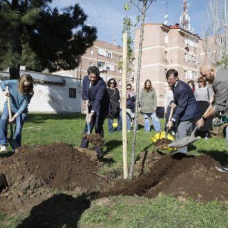 Plantación de 18 nuevos árboles en el distrito de Hortaleza