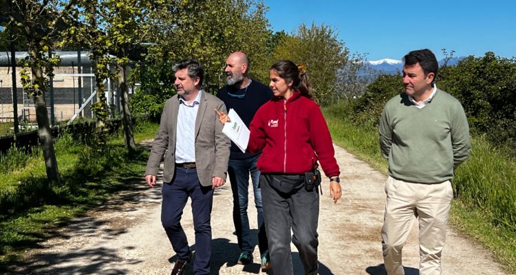 El concejal de Barajas, Juan Peña, junto a tres personas pasendo por una camino de tierra y árboles en el Centro de Rescate de Primates Chimpatía observando a un chimpancé