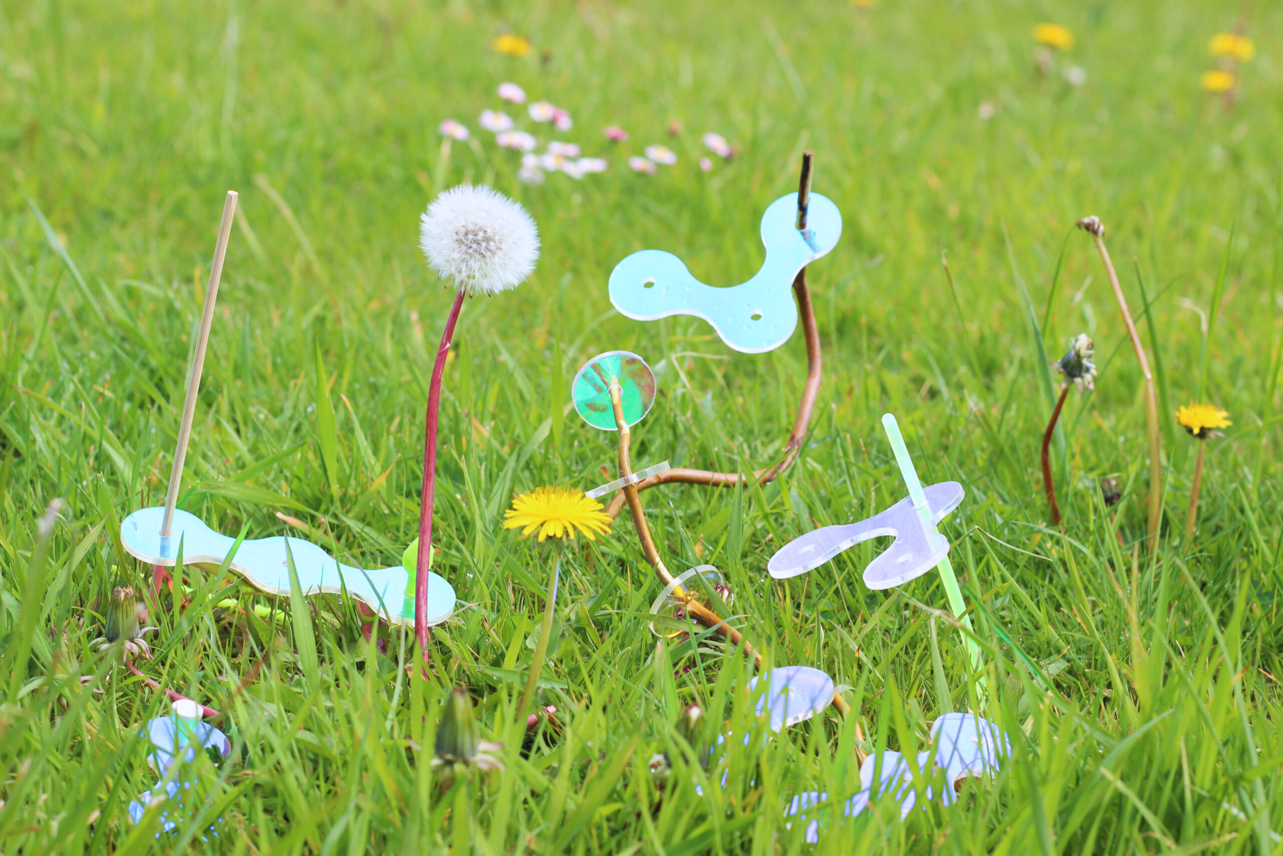 Actividades del mes de junio en Espacio Abierto