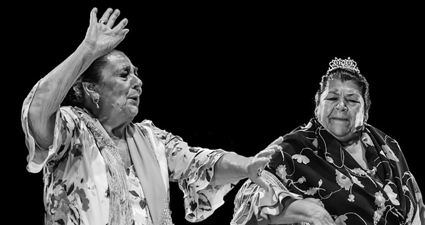 Fiesta de la Bulería @albertfotog