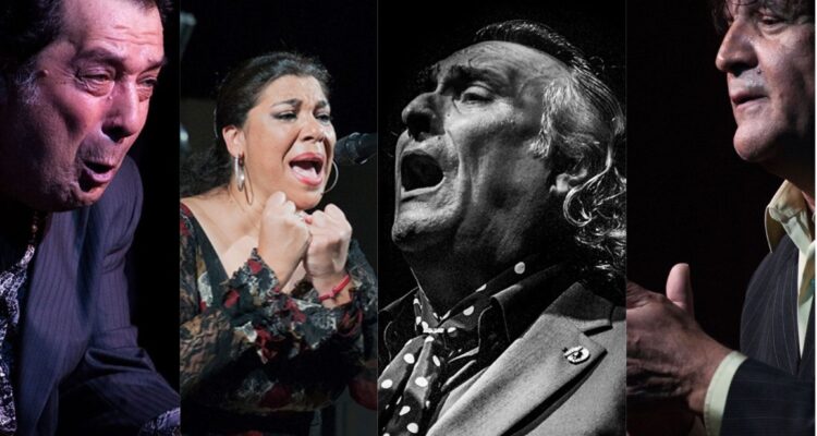 © Vive pasión flamenca