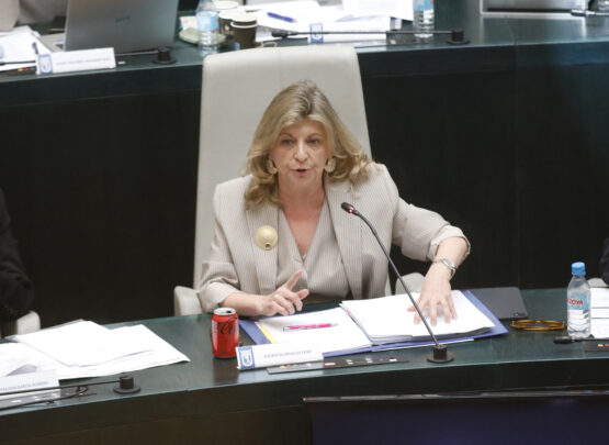 La delegada de Economía, Innovación y Hacienda, Engracia Hidalgo, presentando la proposición sobre Mercamadrid