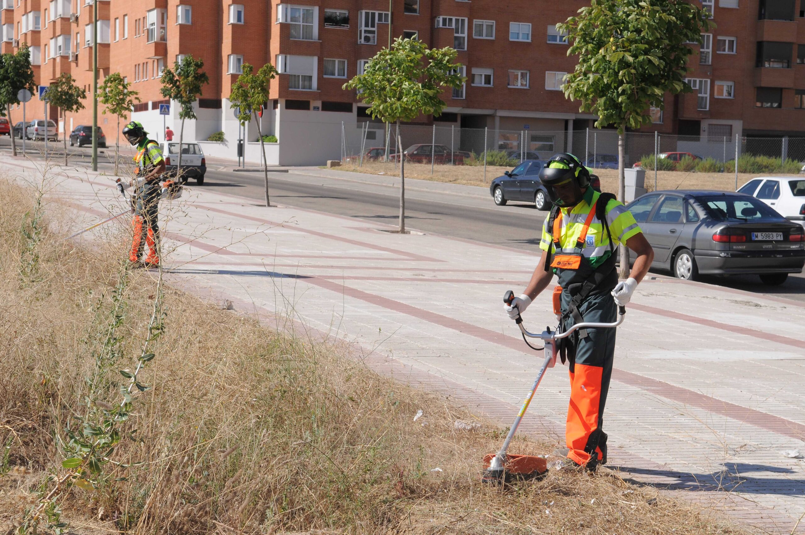 Operario en el desbroce de un solar. Foto de archivo