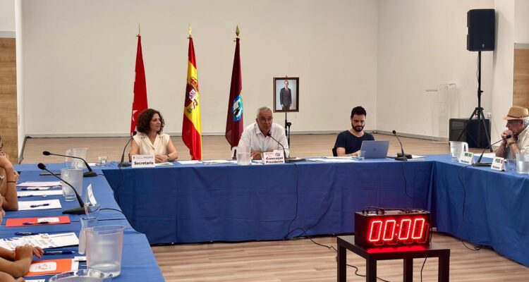 Una instantánea del Pleno