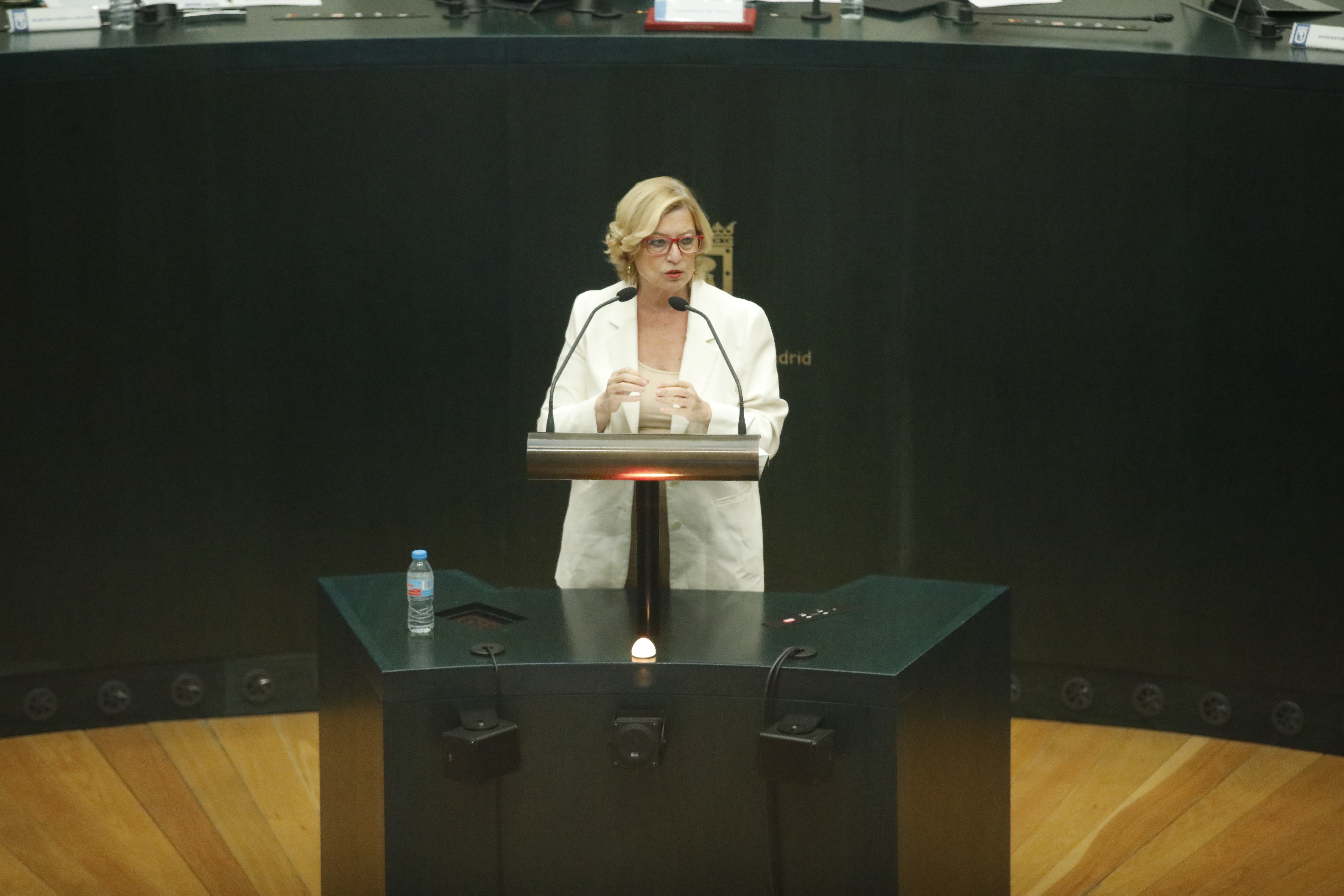 La delegada de Obras y Equipamientos, Paloma García Romero, en el Pleno de hoy