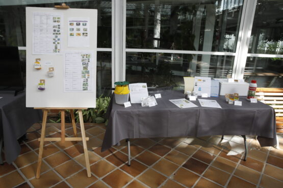 Control biológico de plagas de insectos por parte del Ayuntamiento de Madrid