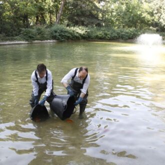 arabante y Páramo, reintroduciendo fauna piscícola en la Quinta de los Molinos