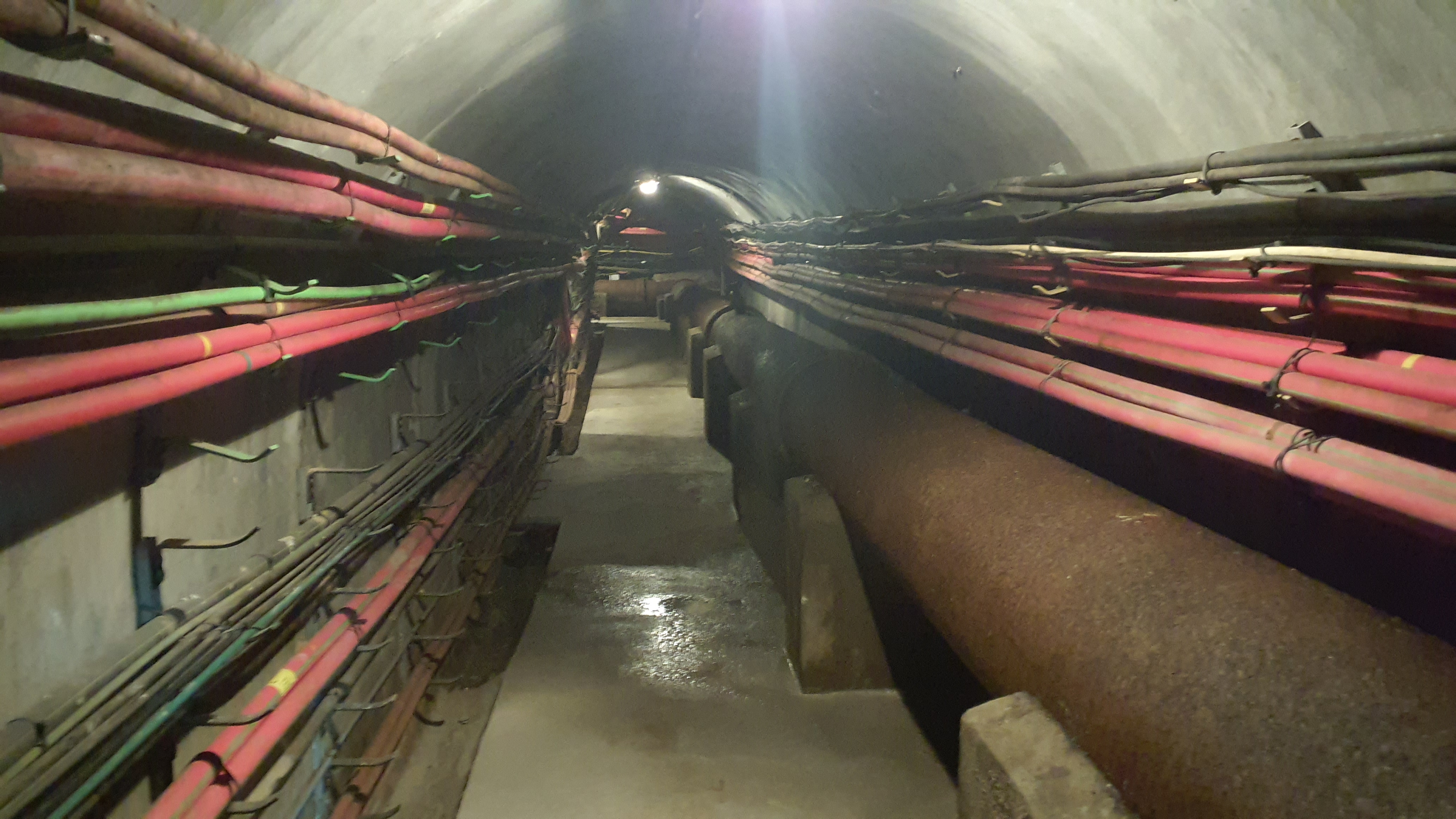 Galería de servicios