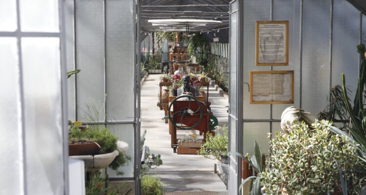 Interior de las instalaciones vivero del Retiro