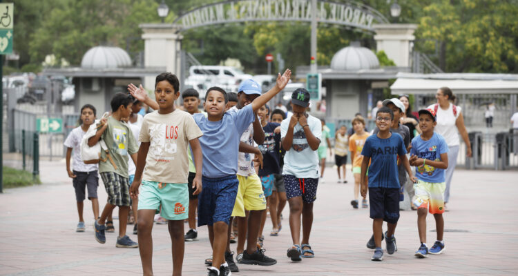Algunos de los niños saharauis acogidos en Madrid con el programa ‘Vacaciones en Paz’