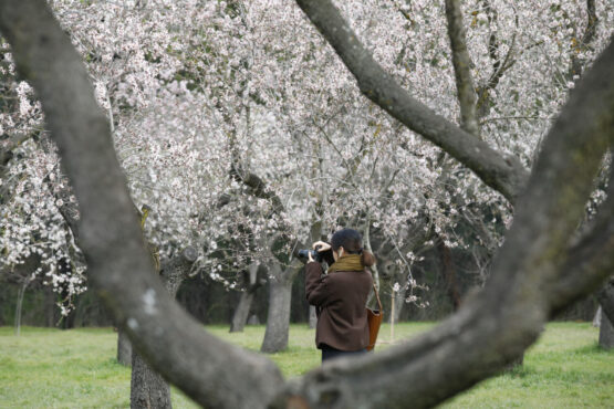 Fotógrafa entre los almendros de la Quinta