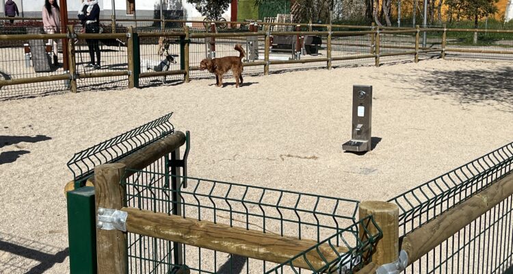 Área canina en Barajas