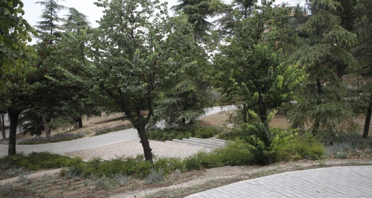 Caminos en parque La Viña