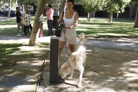 Ciudadana en fuente pública ubicada en parque de Madrid