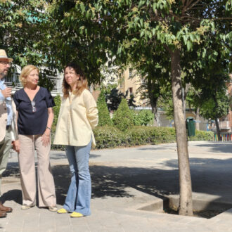 Visita a las obras de la calle de Tenerife